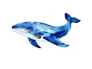 Wall Mural - Whale watercolor illustration on white background.