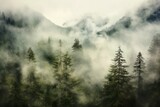 Misty forest landscape with tall coniferous trees