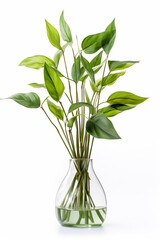 Sticker - plant in glass vase