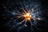 Fototapeta Dmuchawce - Neuronal network neurons brain Neurofeedback, synapses, neurosciences. Neuroprotection, neuro-oncology, neuronal function and neurotransmission. Meuropathology, neurotherapeutics, and neurotoxicology