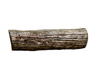 Canvas Print - old log isolated on white background