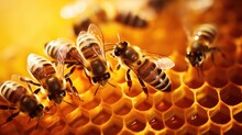 Upclose Image Of A Group Of Industrious Honeybees Working Together To Build A Perfect Hexagonal Cell In A Hive.