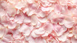 淡いピンクの桜の花びらが敷き詰められた背景写真
