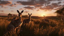 Adorable Kangaroo Family Bonding In Lush Australian Outback Landscape - AI-Generative
