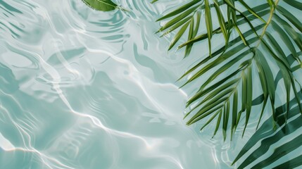 Spa concept with a palm leaf in wavy water. Abstract, transparent tropical water texture surface with palm leaves. top view, beauty backdrop, mockup, spa and wellness, copy space