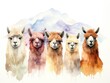Group of Llamas Standing Together in a Field. Watercolor illustration.