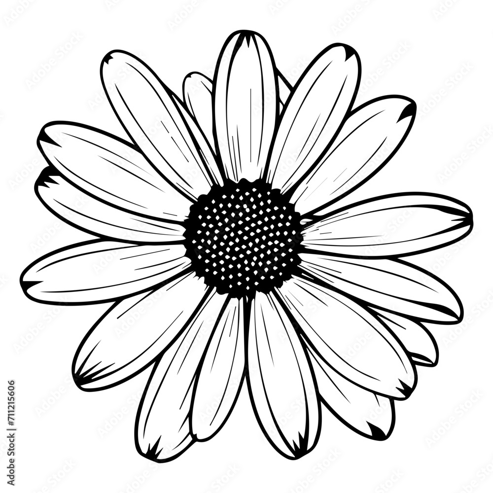 beautiful monochrome, black and white daisy flower Stock Vector | Adobe ...