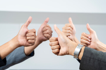 Wall Mural - Thumbs up with hands of a business team or group giving their approval, saying thank you or giving motivation together in their office at work.