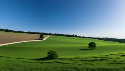 Wall Mural - ai generated illustration of vibrant green trees on a picturesque hilltop covered in lush greenery