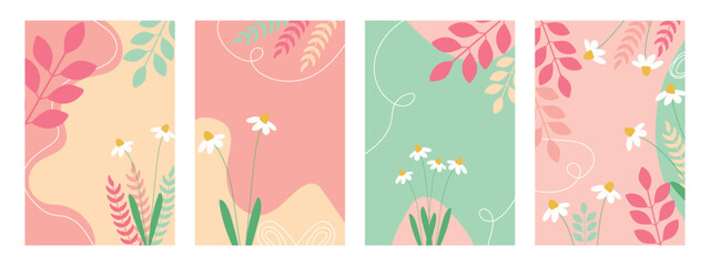 Wall Mural - Set of cute floral backgrounds. Covers with daisies. Templates with flowers.