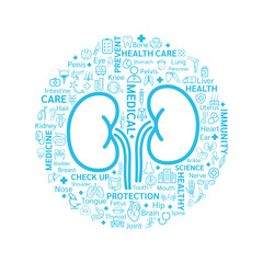 Medical icons and organs are arranged the shape of kidney. On white background. Health care concept. Vector EPS10.