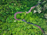 Fototapeta Uliczki - View from above, stunning aerial view of a road surrounded by green vegetations and palm trees. Phuket, Thailand.