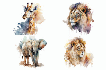 Sticker - Safari Animal set giraffe, elephant, lion in watercolor style. Isolated illustration