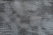 Background Image - Gray Crocodile Skin Texture