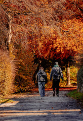 Rear view of two people walking in park with beautiful autumn colors