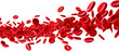 Stream of red blood cells in plasma, medical microscopic concept. Transparent background.