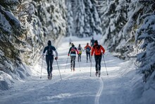 Cross country skiers racing on the ski competitions in a pine forest ski track