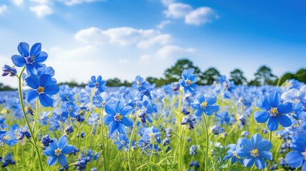 nature blue spring background illustration floral vibrant, fresh sky, blossom season nature blue spr