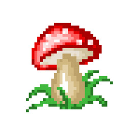 Poster - A forest mushroom with green grass.
