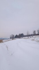 Wall Mural - Wintertime landscape with snowdrifts near the forest and the frozen lake