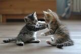 Fototapeta Koty - Pair of playful kittens engaged in a friendly wrestling match