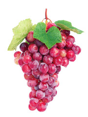 Poster - Bunch of red grapes isolated