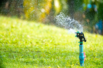 Wall Mural - Sprinkler for automatic lawn watering. Lawn cultivation and care, garden irrigation devices. Rainbow over the garden on a sunny day.