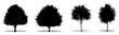 Set or collection of English Oak trees as a black silhouette on white background. Concept or conceptual vector for nature, planet, ecology and conservation, strength, endurance and  beauty