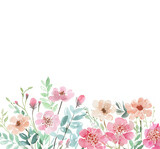 Fototapeta Kwiaty - Namalowane akwarelą kwiaty polne tło