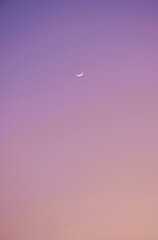 Wall Mural - half moon floating on twilight sky in evening