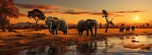 Against The Stunning Backdrop Of A Sunrise Or Sunset Sky, Majestic Indian Elephants Stand Tall Near A Peaceful Water Source, Surrounded By Lush Green Grass And Trees In Their Natural Outdoor Habitat,