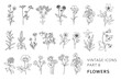 Vintage style hand drawn flower collection. Linear floral icons for logo, brand design, plant shop, wedding invitations. Bohemian line art botany elements. Elegant outline spring or summer vector set