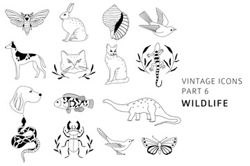 Wall Mural - Vintage style hand drawn wildlife elements collection: cat, dog, rabbit, bird. Linear icons for logo, brand design, pet shop. Bohemian line art animals and insects elements. Elegant outline vector set