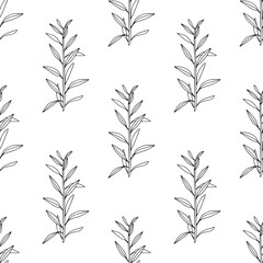 Wall Mural - Vintage hand drawn seamless pattern with plants. Black and white linear floral texture. Bohemian line art botany elements. Elegant outline spring or summer vector surface for textile, fabric, paper