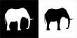 Illustration vector graphics of elephant icon