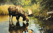 © Digitalphoto 4U - Moose drinking water in the river