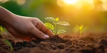 Nurturing Nature Future. Child Hopeful Act Of Planting Small Seedling Embracing Concept Of Environmental Sustainability And Eco Friendly Agriculture To Care For Green Earth One Sprout At Time