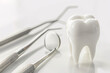 White model tooth and dental tools on bright surface
