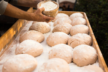 Wall Mural - Bread preparation. loaves of dough before baking