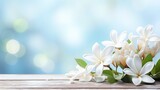 White gardenia flower on isolated bokeh background with two thirds copy space on left side