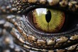 Closeup of alligator and crocodile eyes.
