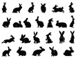 Rabbit silhouette vector art white background