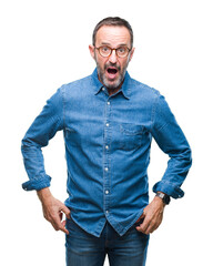Wall Mural - Middle age hoary senior man wearing glasses over isolated background afraid and shocked with surprise expression, fear and excited face.