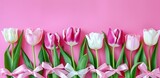 Fototapeta Tulipany - Pink and white tulips with pink ribbons on a pink background. Concept of celebration and decor.