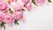 Beautiful pink peonies.Banner,background. Top view