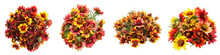 Gaillardia Flower Pile Of Heap Of Piled Up Together Hyperrealistic Highly Detailed Isolated On Transparent Background Png File