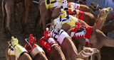 Fototapeta  - Kamelrennen