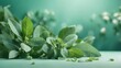 clear ambient glowing pastel green background, peppermint leaves, eucalyptus leaves. generative AI