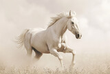 Fototapeta Konie - White horse