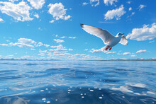 A White Seagull Flies Over The Water Against A Bright Blue Sky With White Clouds